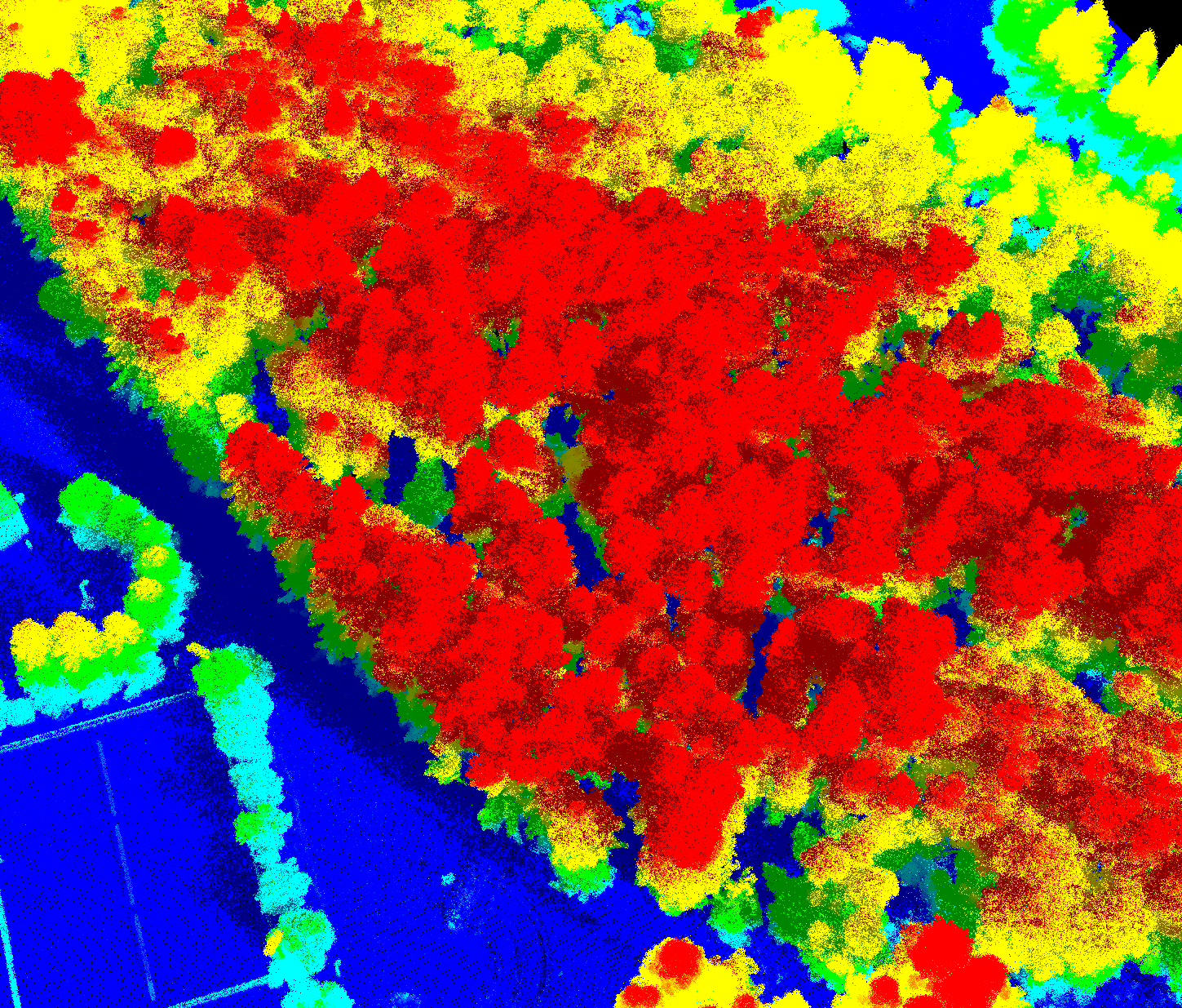 Digital defoliation point cloud
