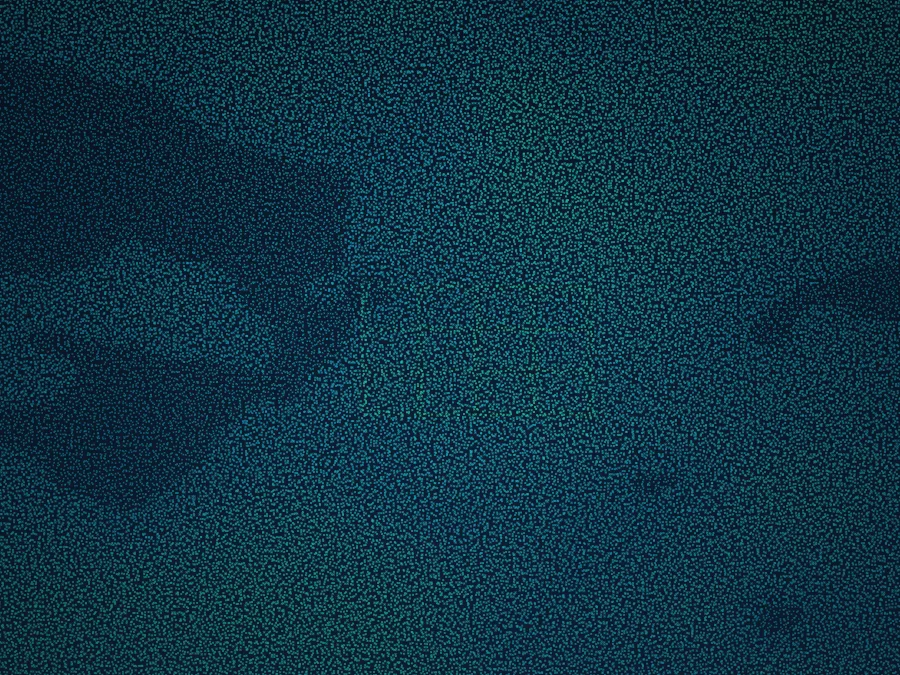 Archeology point-cloud scan